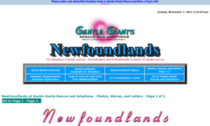 Gentlegiantsrescue-newfoundlands.com thumbnail