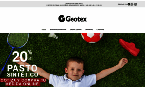 Geotex.cl thumbnail