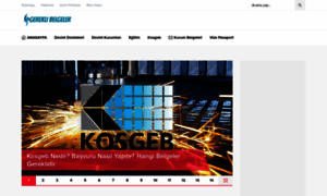 Gereklibelgeler.net thumbnail