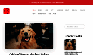 Germanshepherdgoldenretrievermix.com thumbnail