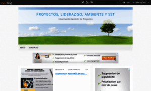 Gestiondeproyectos-pmp.over-blog.com thumbnail