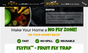 Getflyfix.com thumbnail