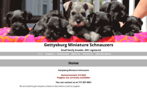 Gettysburgminiatureschnauzers.com thumbnail