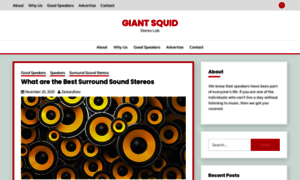 Giant-squid-audio-lab.com thumbnail
