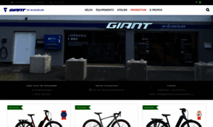 Giantstore-develosatelier.lu thumbnail