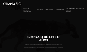 Gimnasiodearte.com thumbnail