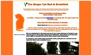 Gingercat-bb.com thumbnail