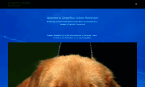 Gingerrungoldenretrievers.com thumbnail