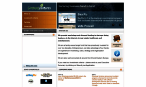Ginsburgventures.com thumbnail