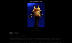 Giraffes.org thumbnail