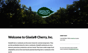 Giselainc.com thumbnail