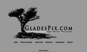 Gladespix.com thumbnail