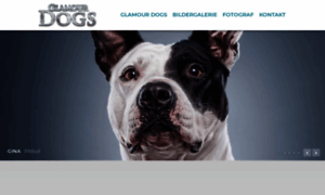 Glamour-dogs.ch thumbnail