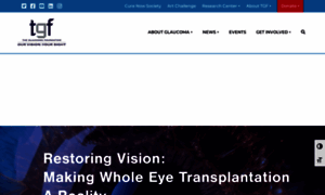 Glaucomafoundation.org thumbnail