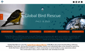 Globalbirdrescue.org thumbnail