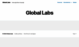 Globallabs.net thumbnail