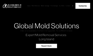 Globalmoldsolutions.com thumbnail