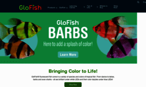 Glofish.com thumbnail