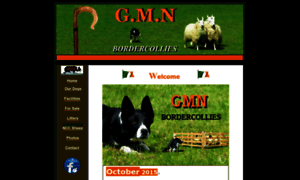 Gmnbordercollies.com thumbnail