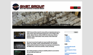 Gnstgroup.com thumbnail