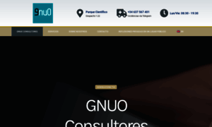 Gnuo-consultores.com thumbnail