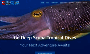 Godeepscuba.com thumbnail