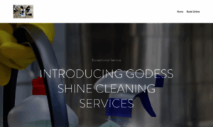 Godessshinecleaningservices.com thumbnail