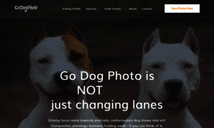 Godogphoto.com thumbnail