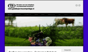 Goedkope-trouwreportage.nl thumbnail