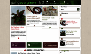 Goingevergreen.org thumbnail