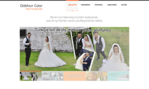 Gokhancolor.com.tr thumbnail