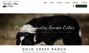 Goldcreekranchbordercollies.com thumbnail