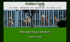 Goldencreekkennels.com thumbnail