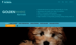 Goldendoodlekennels.com thumbnail