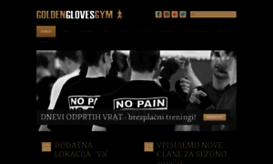 Goldengloves-gym.si thumbnail