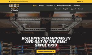 Goldenglovesusa.com thumbnail