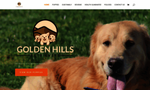 Goldenhillsretrievers.com thumbnail