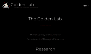 Goldenneurolab.com thumbnail