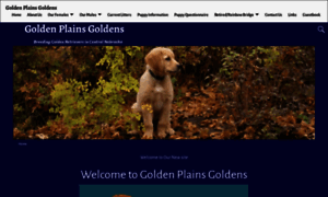 Goldenplainsgoldens.com thumbnail