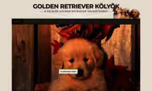 Goldenretrieverkolyok.hu thumbnail