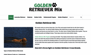 Goldenretrievermix.com thumbnail