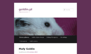 Goldin.pl thumbnail