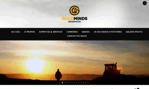 Goldmindsgeoservices.com thumbnail