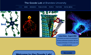 Goodelab.org thumbnail