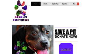 Goodlif3bullyrescue.org thumbnail