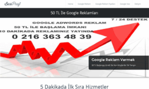 Googlereklamverme.net thumbnail