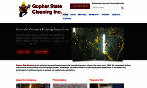 Gopherstatecleaning.com thumbnail