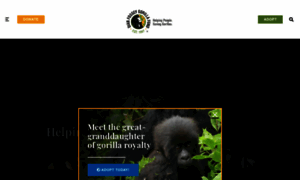 Gorillafund.org thumbnail