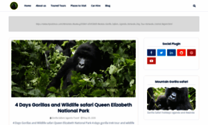 Gorillasafaris-uganda.blogspot.com thumbnail