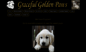 Gracefulgoldenpaws.com thumbnail